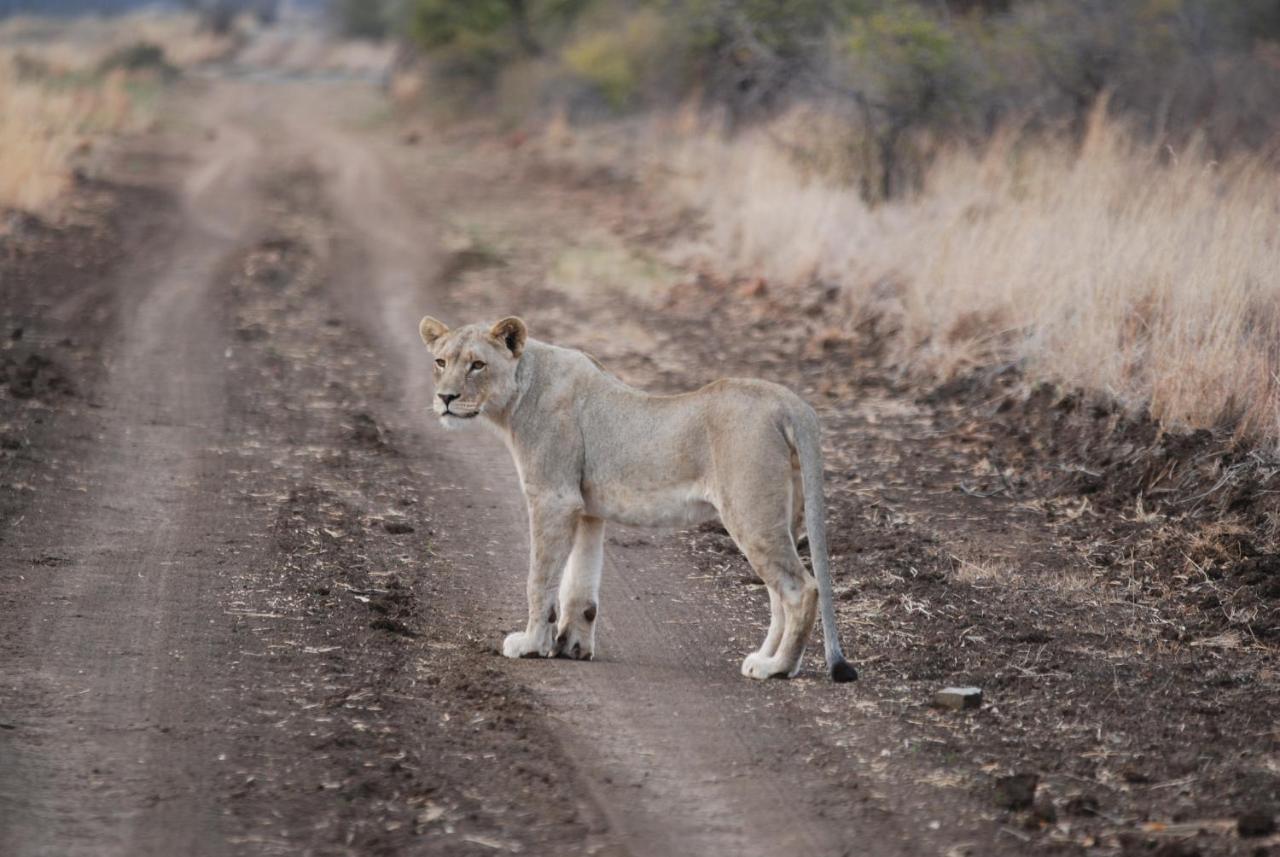 Kgorogoro Lodge Пиланесберг Екстериор снимка